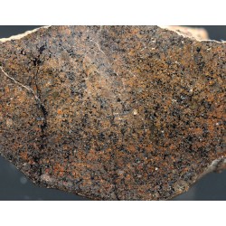 Meteorito condrita NWA