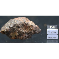 Meteorito condrita NWA