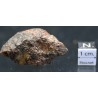 Meteorito condrita NWA