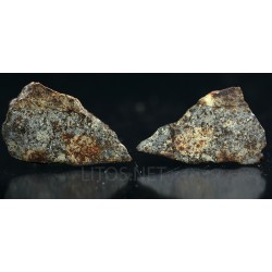 Meteorito NWA 869