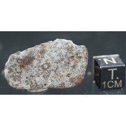 Meteorito NWA 869