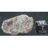 Meteorito NWA 869
