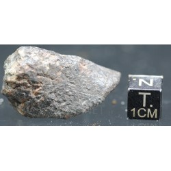 Meteorito NWA 869