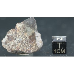 Meteorito NWA 869