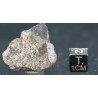 Meteorito NWA 869