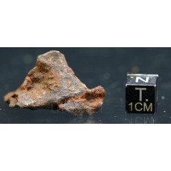 Meteorito Djebel Kamil
