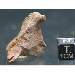 Meteorito Djebel Kamil