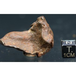 Meteorito Djebel Kamil
