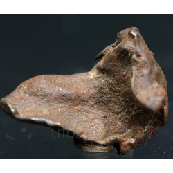 Meteorito Djebel Kamil