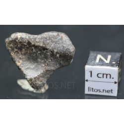 Meteorito NWA