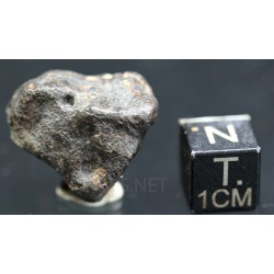 Meteorito NWA