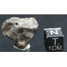 Meteorito NWA
