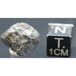 Meteorito NWA