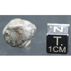 Meteorito NWA