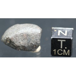 Meteorito NWA