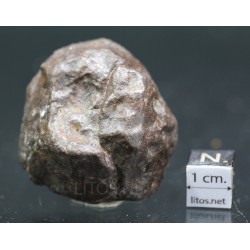 Meteorito condrita NWA