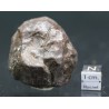 Meteorito condrita NWA