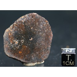 Meteorito condrita NWA