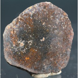 Meteorito condrita NWA