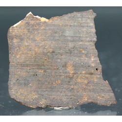 Meteorito condrita NWA