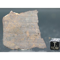 Meteorito condrita NWA