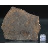Meteorito condrita NWA