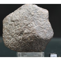 Meteorito condrita NWA