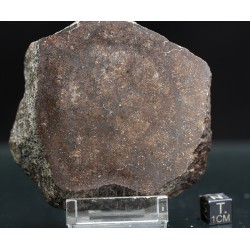Meteorito condrita NWA