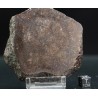 Meteorito condrita NWA