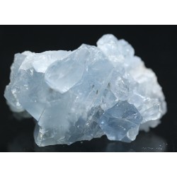 Celestina