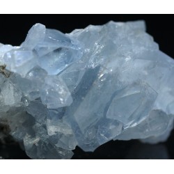 Celestina