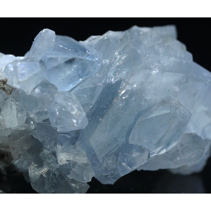 Celestina Celestina