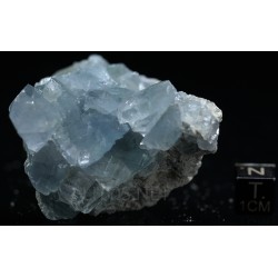 Celestina