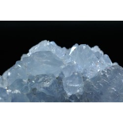 Celestina