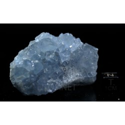 Celestina