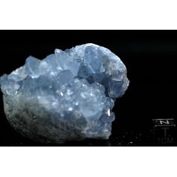 Celestina