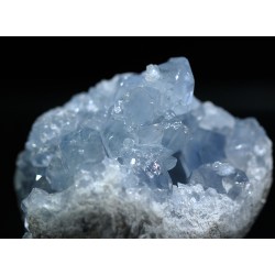 Celestina