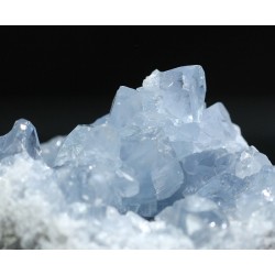 Celestina