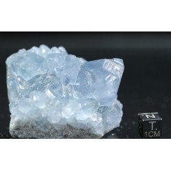 Celestina