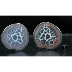 Septaria