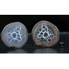 Septaria