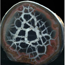 Septaria