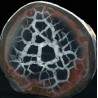 Septaria