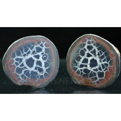 Septaria