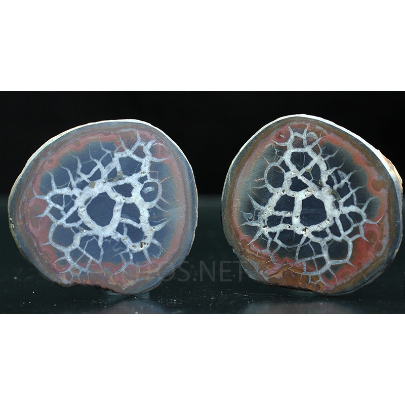 Septaria Septaria