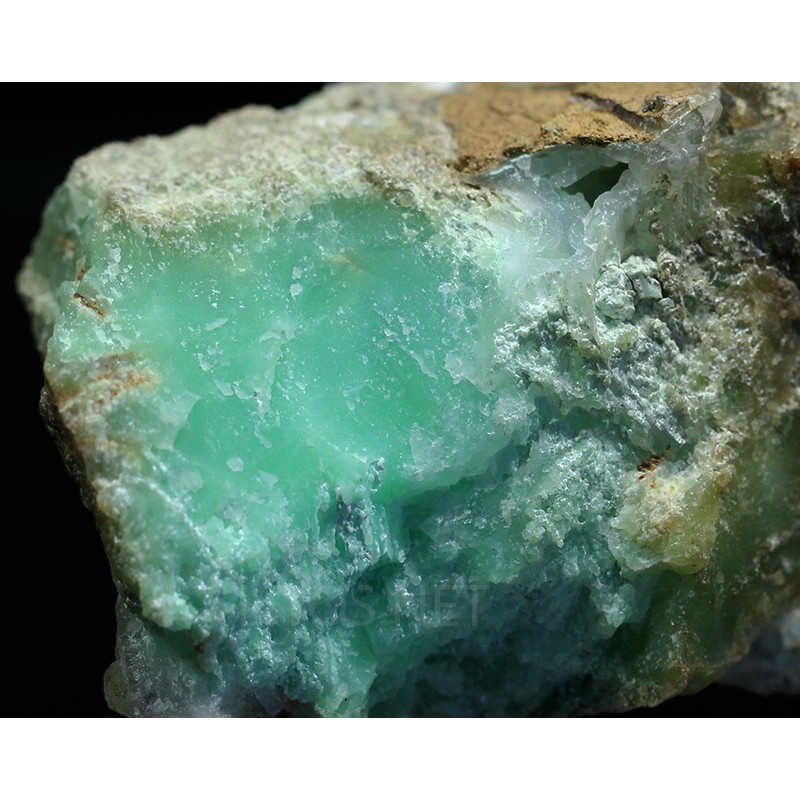 Crisoprasa Crisoprasa