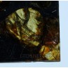 Meteorito Seymchan
