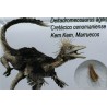 deltadromeosaurus-agilis fosil