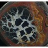 Septaria