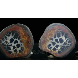Septaria